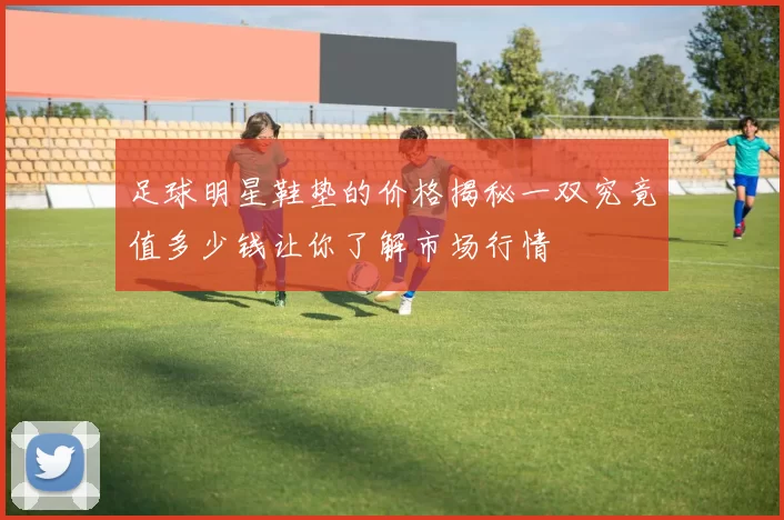 足球明星鞋垫的价格揭秘一双究竟值多少钱让你了解市场行情