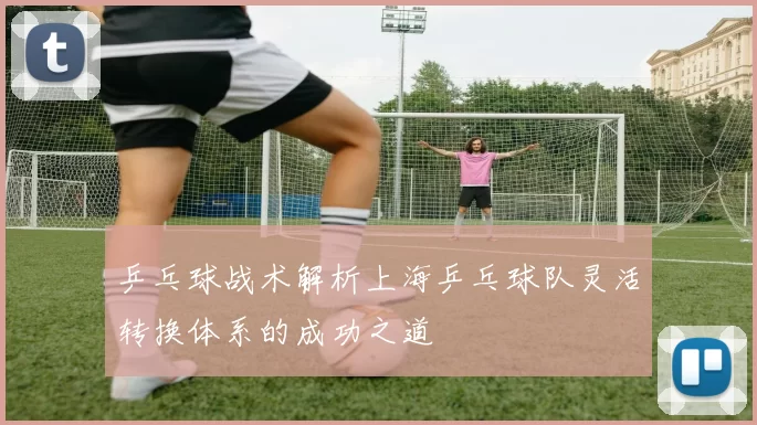 乒乓球战术解析上海乒乓球队灵活转换体系的成功之道