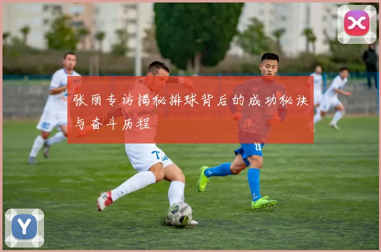 张丽专访揭秘排球背后的成功秘诀与奋斗历程