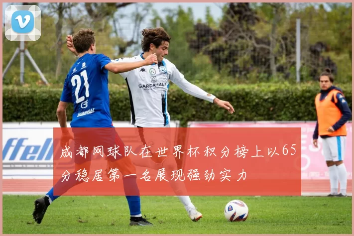 成都网球队在世界杯积分榜上以65分稳居第一名展现强劲实力