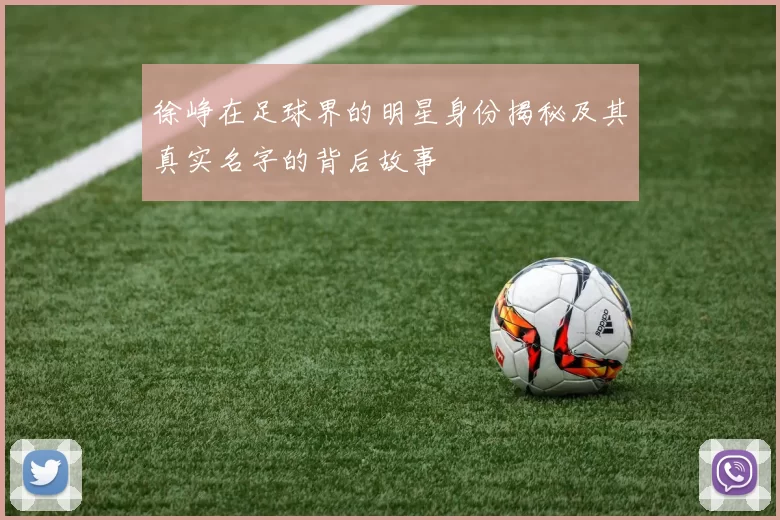 徐峥在足球界的明星身份揭秘及其真实名字的背后故事