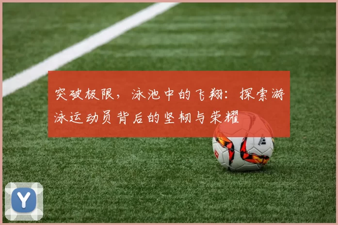 突破极限，泳池中的飞翔：探索游泳运动员背后的坚韧与荣耀