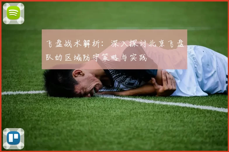飞盘战术解析：深入探讨北京飞盘队的区域防守策略与实践