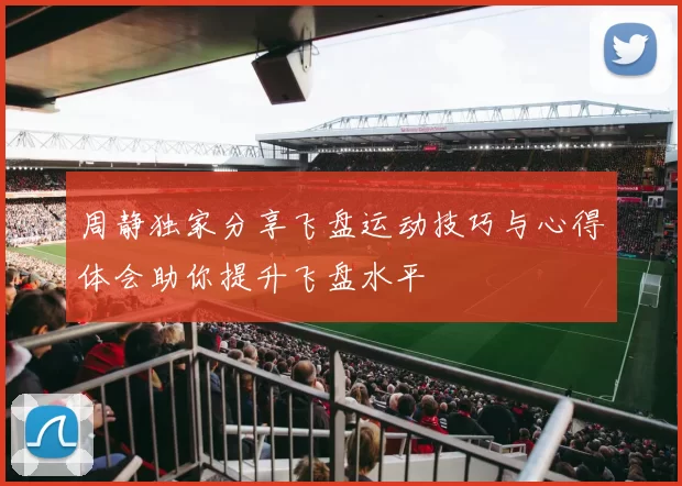 周静独家分享飞盘运动技巧与心得体会助你提升飞盘水平