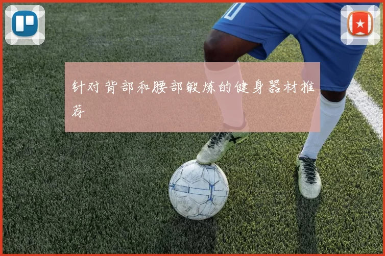 针对背部和腰部锻炼的健身器材推荐