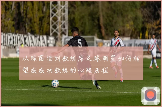 从绿茵场到教练席足球明星如何转型成成功教练的心路历程